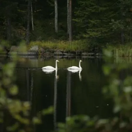 Safiiri By Interhome Casa vacanze Holiseva