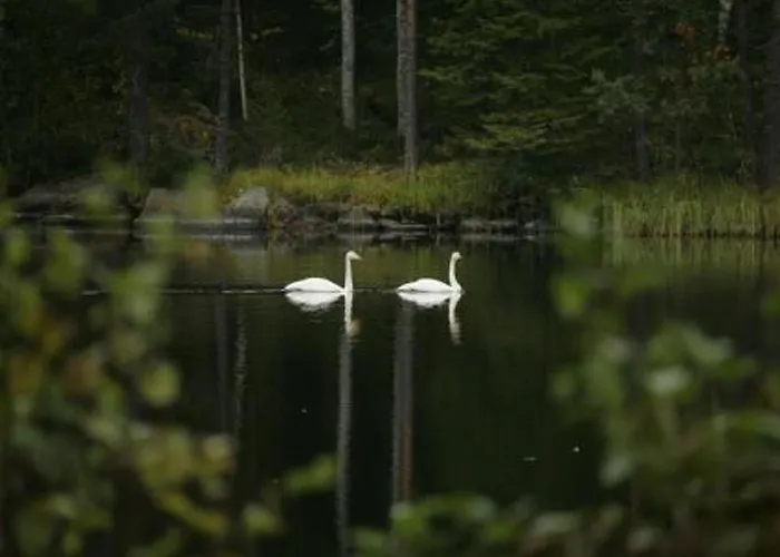 Hébergement de vacances Safiiri By Interhome